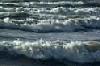 Picture for song 'Wild Sea' by artist 'T Wisted Fock and the Rockin' BillHillies'