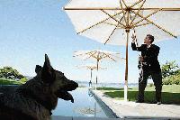 Picture for song 'Transition' by artist 'two point two'