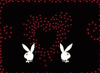Picture for song 'Two Rabbits In The Dance Club' by artist 'Two Rabbits With Red Eyes'