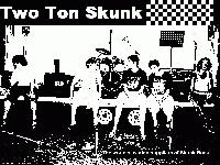 Picture for song 'Mister Antics' by artist 'Two Ton Skunk'
