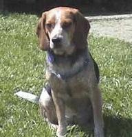 Picture for song 'Yo, Yo' by artist 'Tyke Wun'