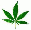 Picture for song 'Ode To MARY JANE' by artist 'Ultimate Entertainment'