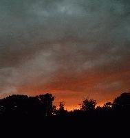 Picture for song 'Morality Redux' by artist 'Ultra Penguin 3000'