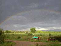 Picture for song 'The End of the World' by artist 'Ultra Penguin 3000'