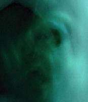 Picture for song 'nevergonnaletyoumakemehatemyselfagain' by artist 'ultra sound'