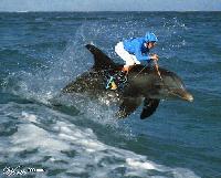 Picture for song 'please me (chase remix)' by artist 'Uncomfortable skin'