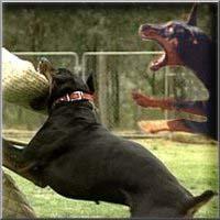 Picture for song 'PLACE of PAiN !!!!!!!' by artist 'Unfinished Samples'