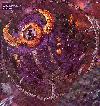 Picture for song 'Ghost Busters (Part 1)' by artist 'Unicron (the better one)'