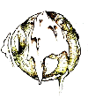 Picture for song 'paranoidskitzoid' by artist 'unitedbumsociety'