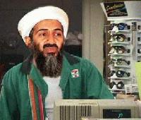 Picture for song 'Wanna Go 2 War (Bin Laden Sucks)' by artist 'United States of Mind'