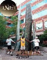 Picture for song 'What You Want' by artist 'Unitex'