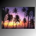 Picture for song 'Bahamas Beat' by artist 'Unkell Sam'