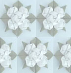 Picture for song 'The Moldy Peaches:Lucky Number Nine COVER' by artist 'unknown'