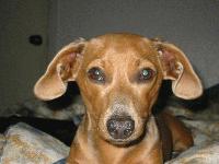 Picture for song 'tell me why' by artist 'unknown again'