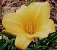 Picture for song 'Breakway' by artist 'Unoriginal Bastard'