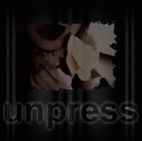 Picture for song 'zephyrlust (live)' by artist 'unpress'