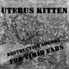 Picture for song 'Rattlesnake Break Jewel Case' by artist 'Uterus Kitten'