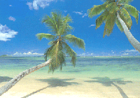 Picture for song 'KiKi, you made me crazy like you!' by artist 'UzuMatchi'