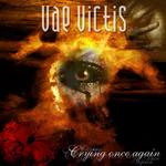 Picture for song 'Crying' by artist 'Vae Victis PL'
