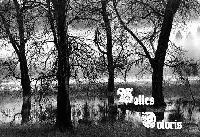 Picture for song 'Solitude Weeping' by artist 'Valles Doloris'