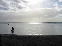 Picture for song 'Diana' by artist 'vdk records'