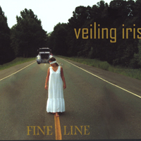 Picture for song 'Flight Pattern' by artist 'Veiling Iris'