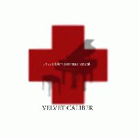 Picture for song 'smile hunter (demo)' by artist 'velvetcaliber'