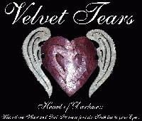 Picture for song 'Right Here In My Arms' by artist 'Velvet Tears'