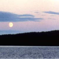 Picture for song 'La playa y la luna' by artist 'veraa'