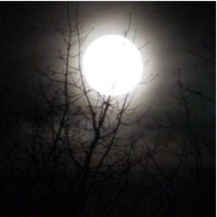 Picture for song 'La playa y la luna (version 2)' by artist 'veraa'
