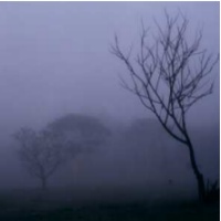 Picture for song 'Vapor y viento' by artist 'veraa'