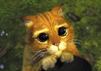 Picture for song 'posted' by artist 'Verbal Assasin Mafia'