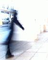 Picture for song 'Hidden Fire (Demo)' by artist 'Verian Thomas'
