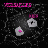 Picture for song 'Segmented' by artist 'Versailles'