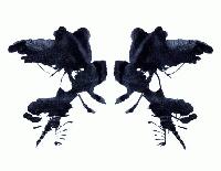 Picture for song 'Downsound' by artist 'Vertigo Gray'