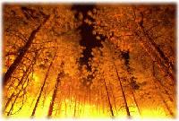 Picture for song 'Roman Holiday' by artist 'Vestal Fire'