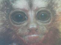 Picture for song 'wots goin on?!' by artist 'vezah'