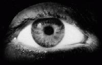 Picture for song 'Pupils' by artist 'Vicious Circle'