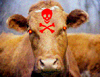 Picture for song 'Head Cattle Ray' by artist 'Vigor Mortis'