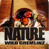 Picture for song 'Nature - Intro' by artist 'Vin tha Chin'