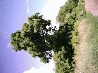 Picture for song 'No Hobby' by artist 'Visionz'