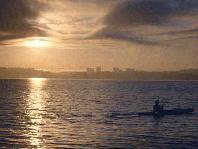 Picture for song 'Killin' my Soul' by artist 'Vital Christos'