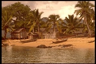 Picture for song 'Talking Drum' by artist 'Vital Feed'