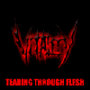 Picture for song '"Belligerence"' by artist 'Vitality US'