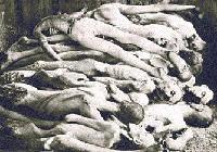 Picture for song 'I`M0RT' by artist 'Vivent Les Morts'