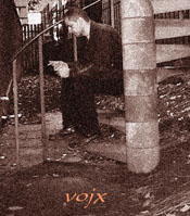 Picture for song 'tear' by artist 'vojx'