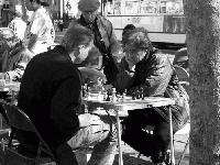 Picture for song 'Fenced in Glasses' by artist 'volcanic telephone'