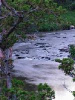 Picture for song 'Fuzzy' by artist 'volcanic telephone'