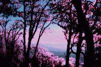 Picture for song 'Seven and Seven on the Rooftop' by artist 'volcanic telephone'