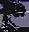 Picture for song 'Toilet Plugger' by artist 'Vomit Mop'